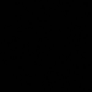 Meet your Posher, Jaedyn